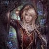 Paladin