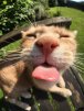 anatoliy_m