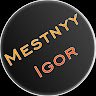 Mestnyy Igor