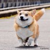 son