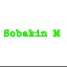 Sobakin M
