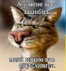 Liliya555
