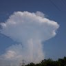 Віталій Федорович
