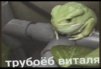 KinglyGuitar421