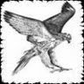 hawknet