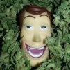 WoodyW33d