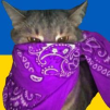 Saidushka