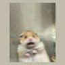 Lol_2