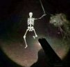 AndyTheSkeleton