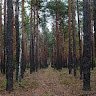 СкіфUA