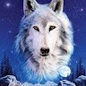 Elder Wolf