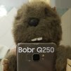 BobrQ250