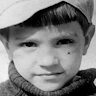 P.Trykoza