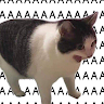 fukkatsumiii