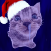 Popipyn