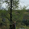 Константин Иващенко