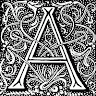 Andre_80