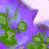 choresgot2