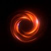 Phoenix in Black Hole