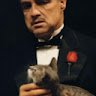 ViTo Жора