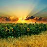 Valeriy_4