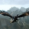 Griffon Black