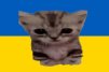 kitplay_UA12
