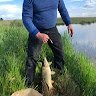 Сергій хмель