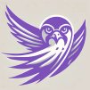 Falcon Bird