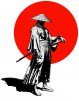 Mr.Samurai