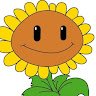 The Sunflower