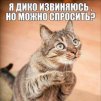 Андрей Чумак