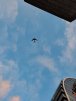 player_mercy