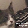 Даря Морозова