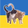 Фрог