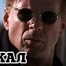 Шакал_2