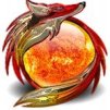 24FireFox01