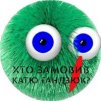 Chernobyl Urchin