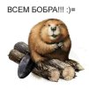 godlg