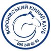 Володимир Чорноморець