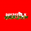 DayZSTeeck