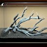 Blackwater Biotope