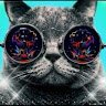 Аня Рогоза