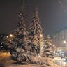 Dovgyj