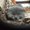 Валентина Пойменова