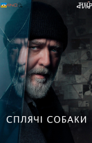 Сплячі Собаки