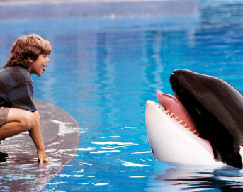 Звільніть Віллі