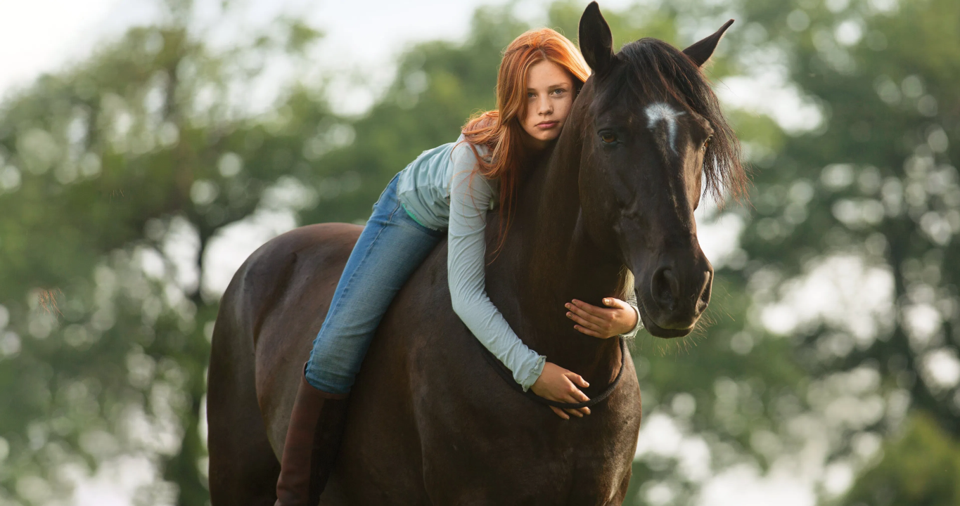 Франшиза Східний вітер - всі частини