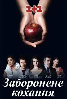 Заборонене кохання 2 сезон постер