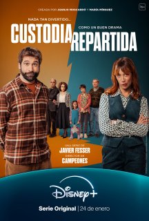 Спільна опіка 1 сезон постер